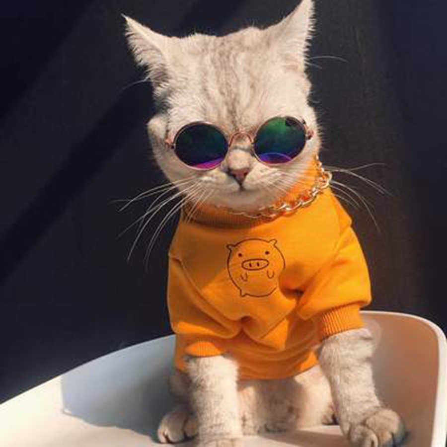 Милые коты в одежде