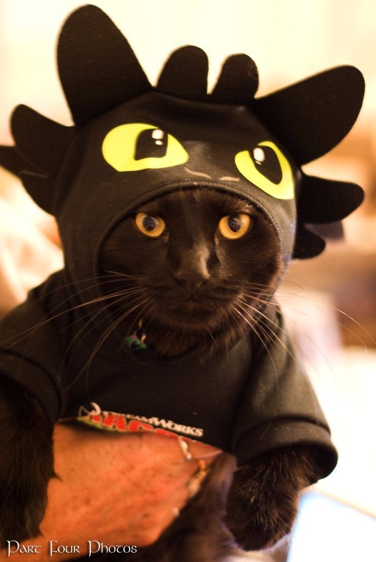 Костюм кошки