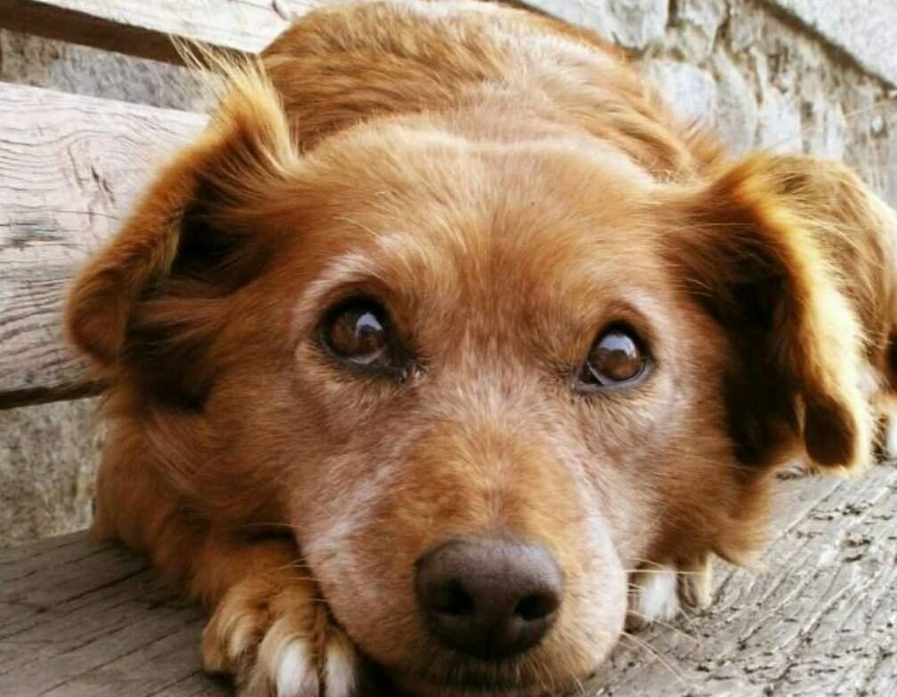 Красивые цитаты