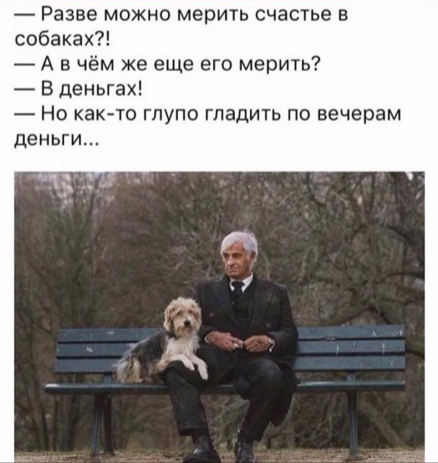 Стихи про погибших собак