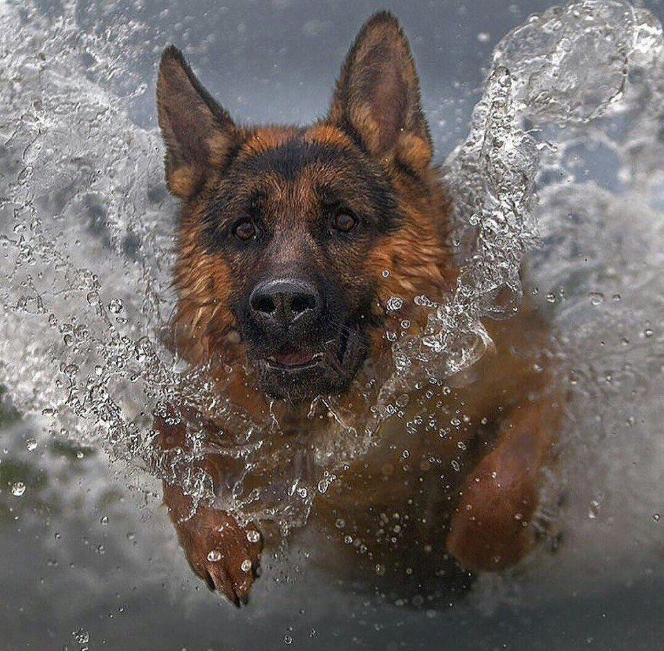 Дом Розенбаума