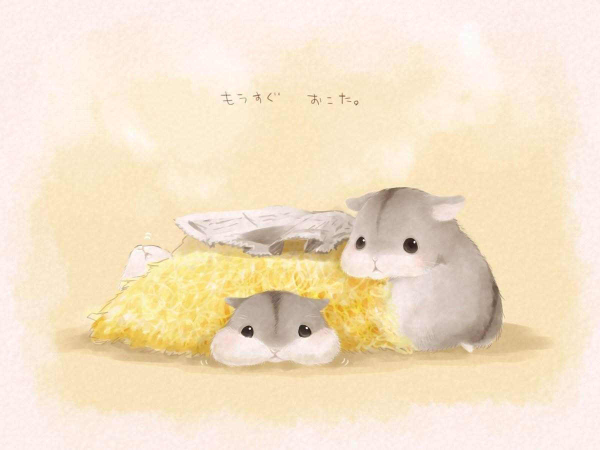 Учиха хомяк обои