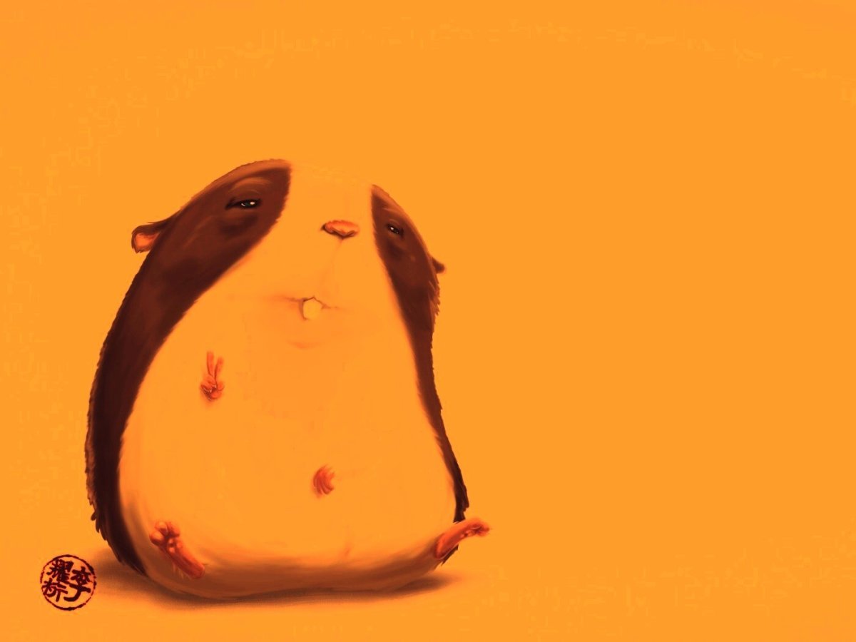 Летяга (Pteromys volans)