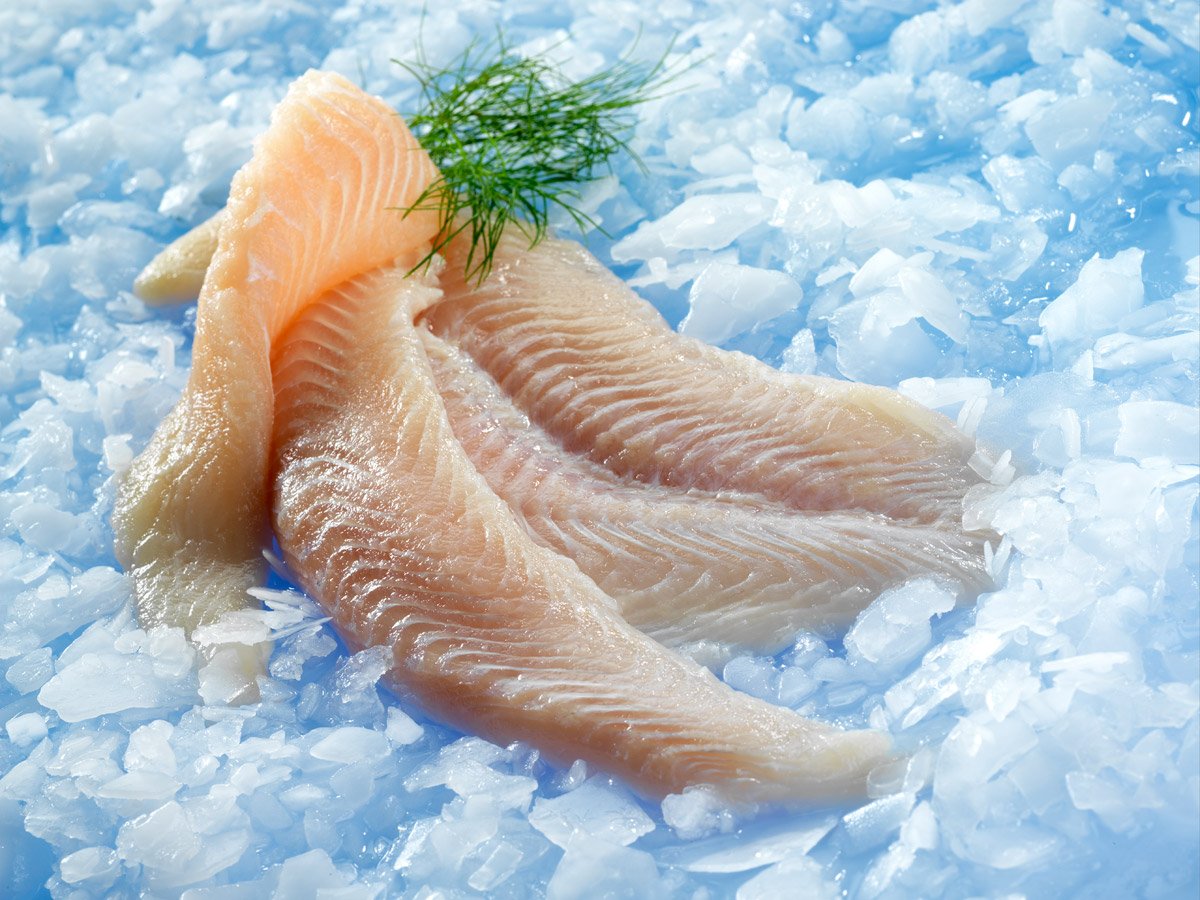Морожено соленая рыба. Белая рыба. Сырая рыба. Рыбное филе. Белая рыба соленая.