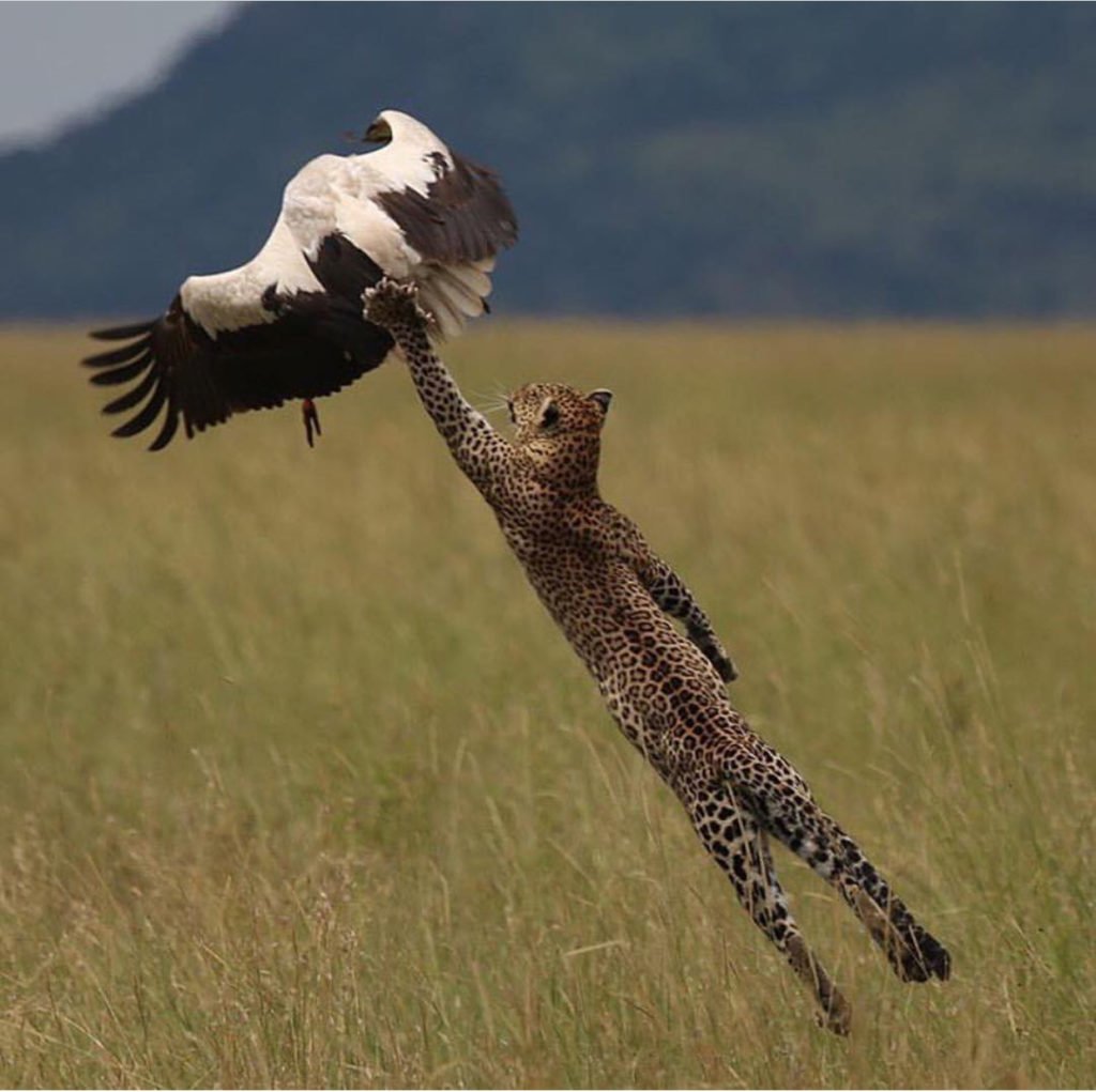 Охота полетать