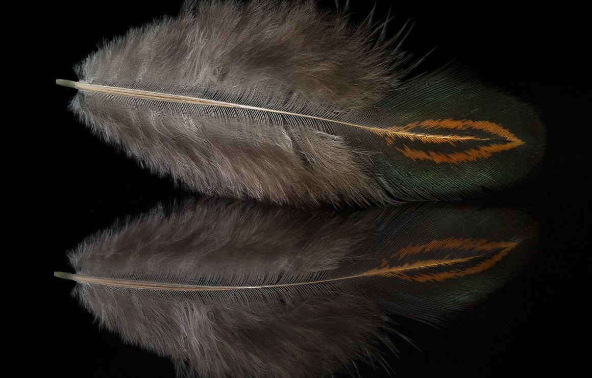 С перьями