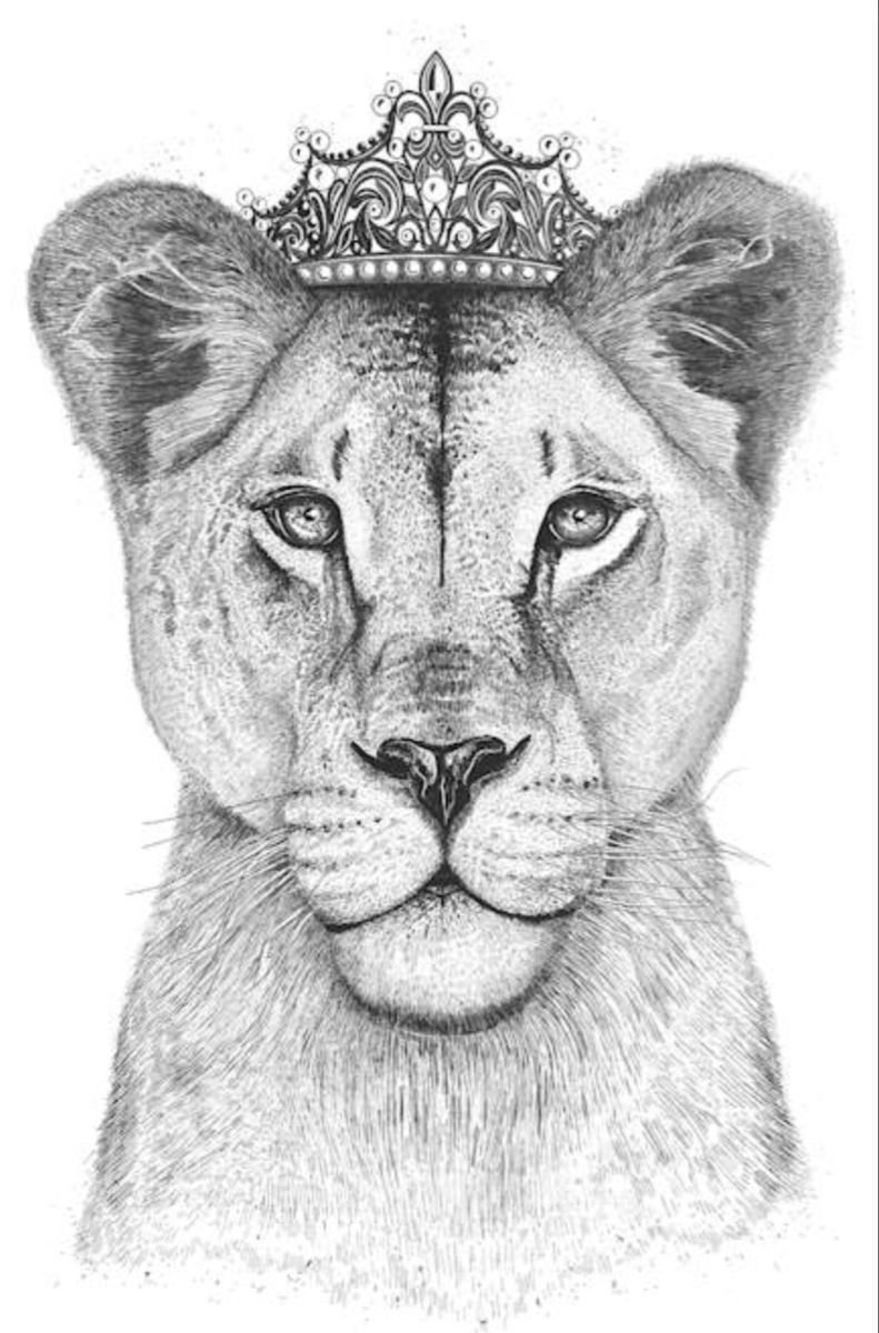 Лев девочка с короной черно белый