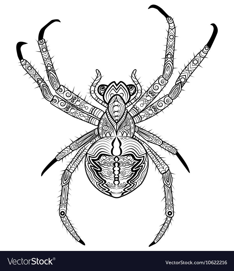 Паук крестовик рисунок карандашом