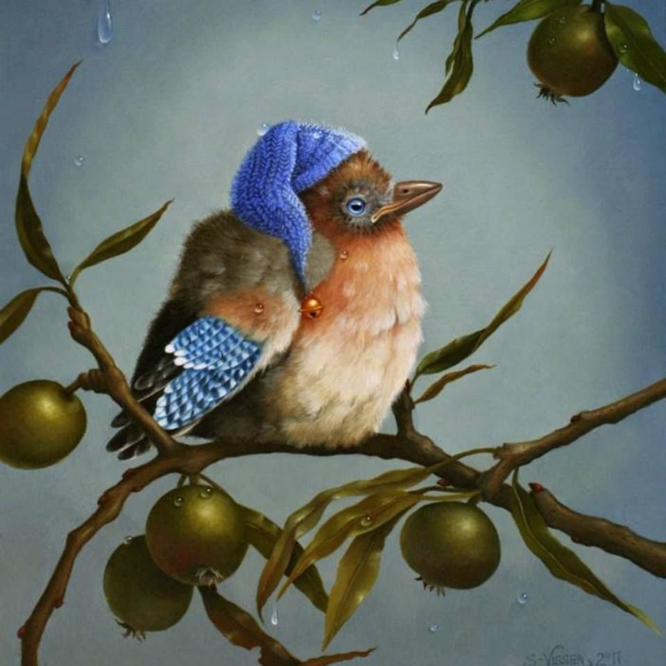 Сюзан Виссер птицы