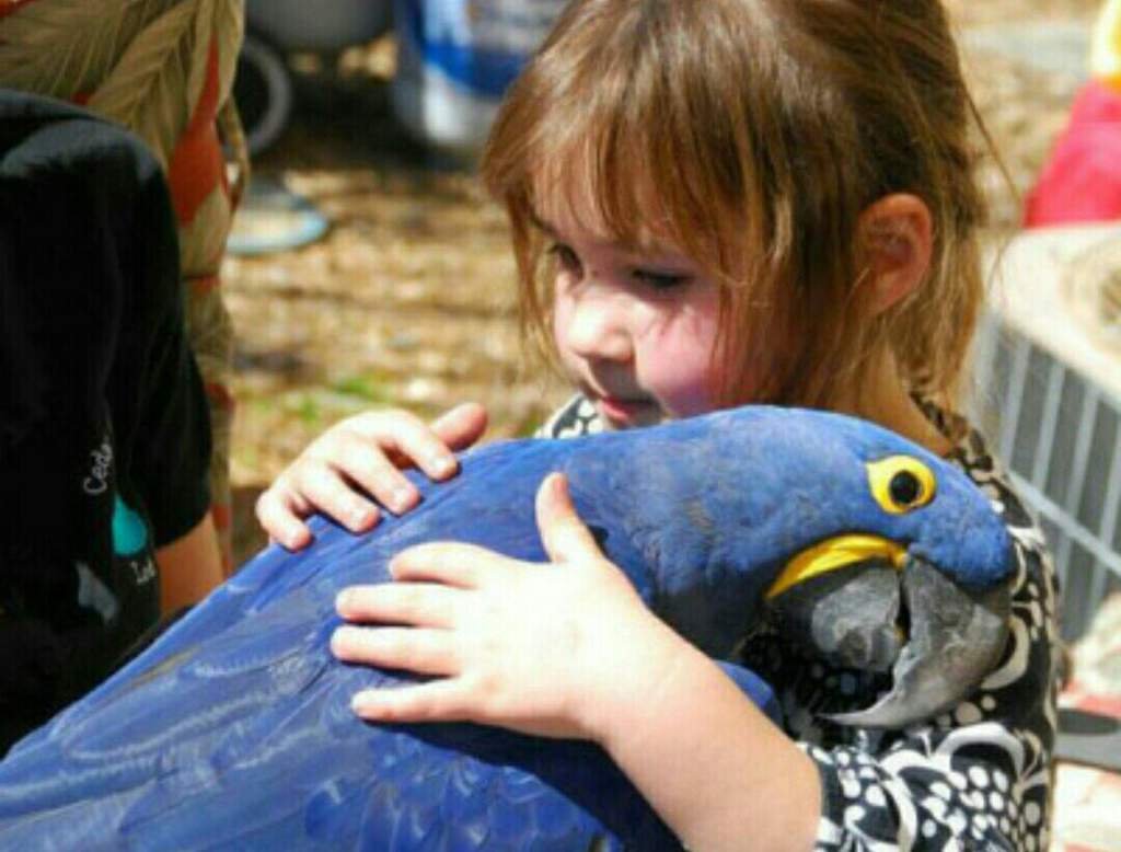 Человек с попугаем