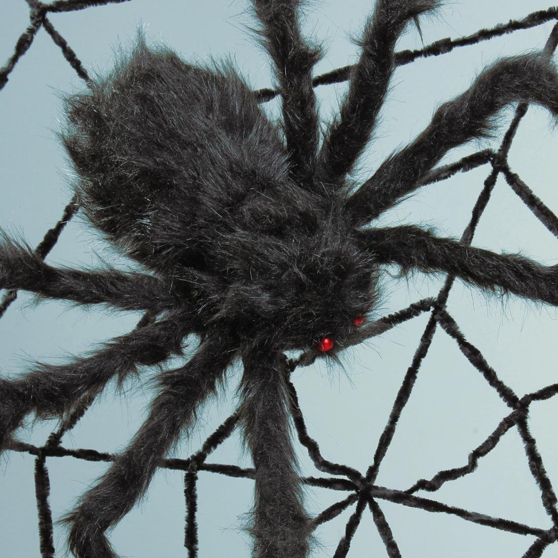 Maratus personatus паук