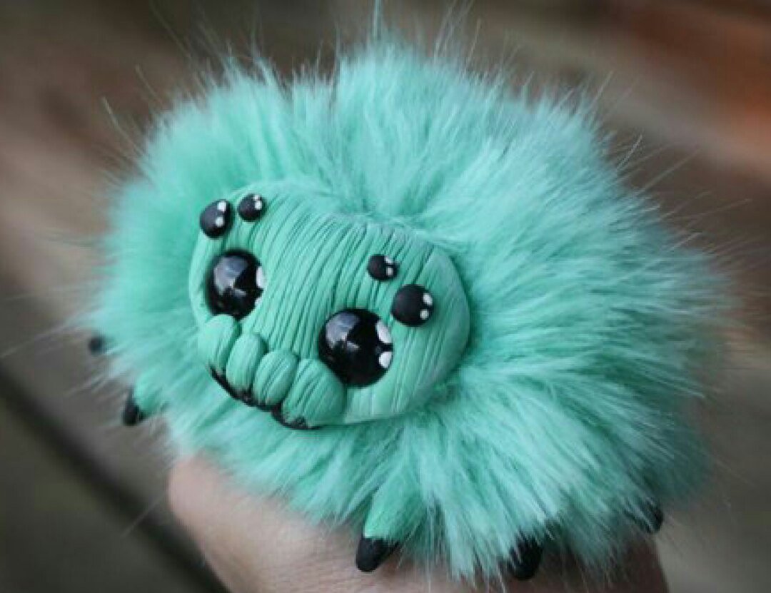 Белый пушистый паук