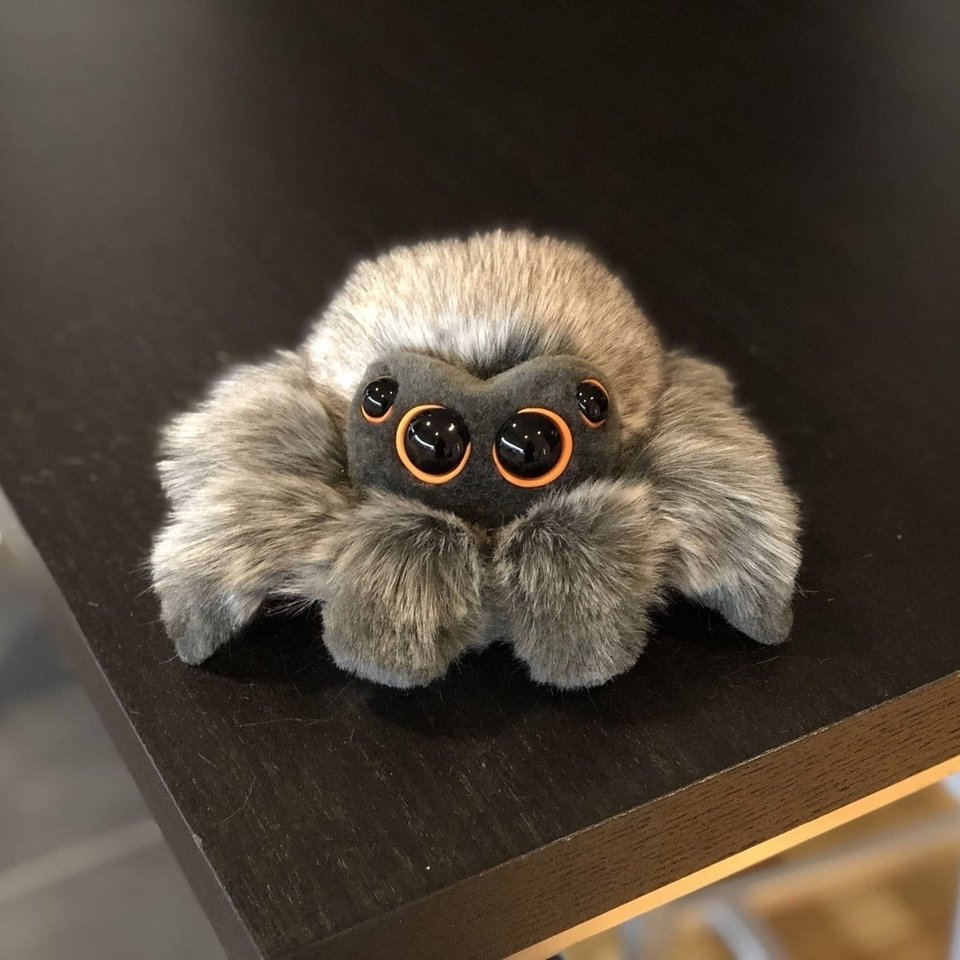 Паук нянька