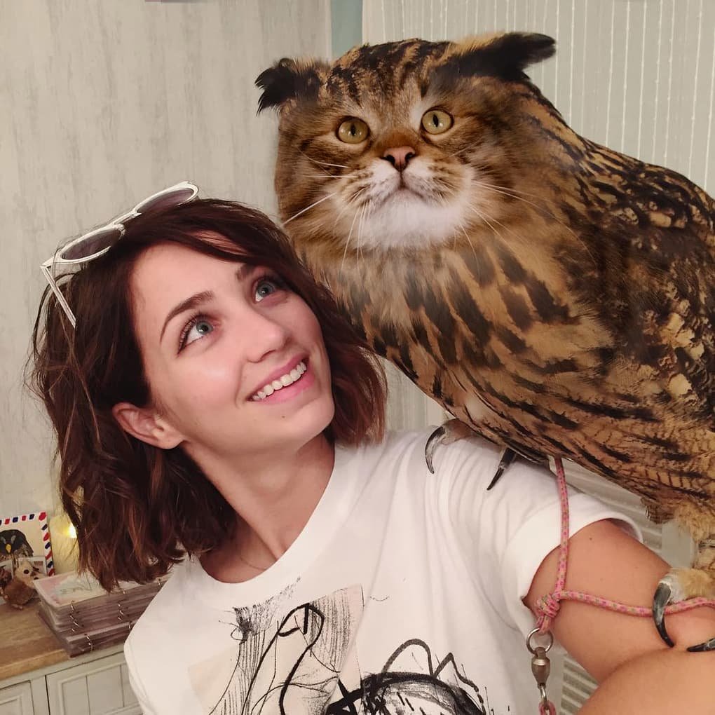 Забавные Совята