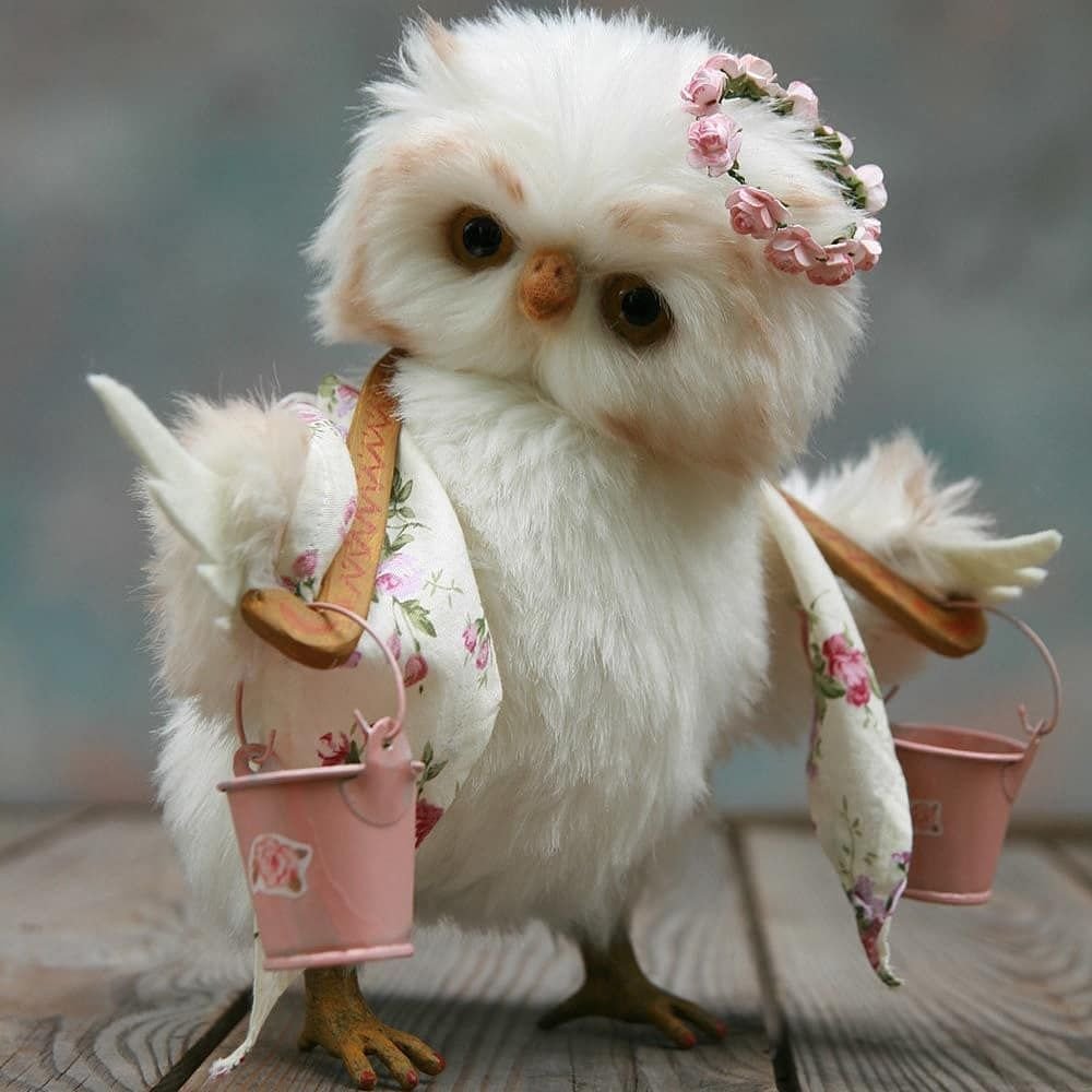 Кукольная Сова