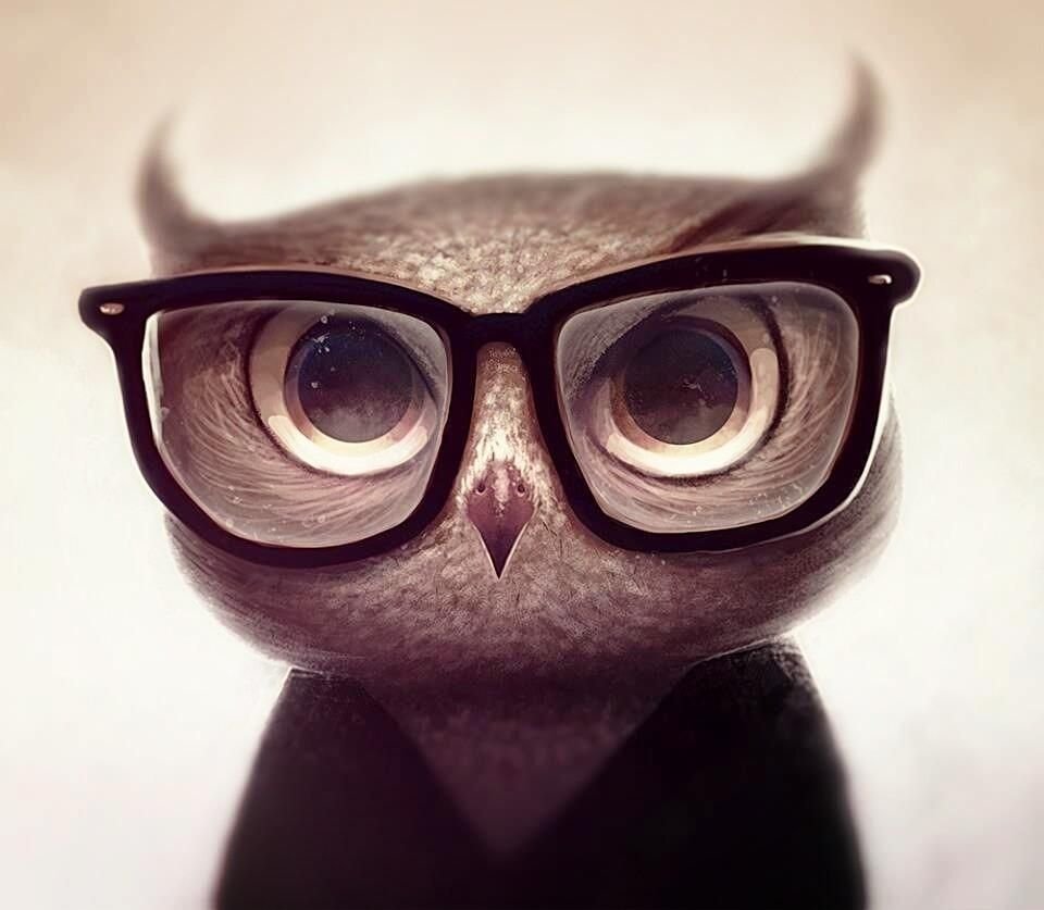 Довольный Филин