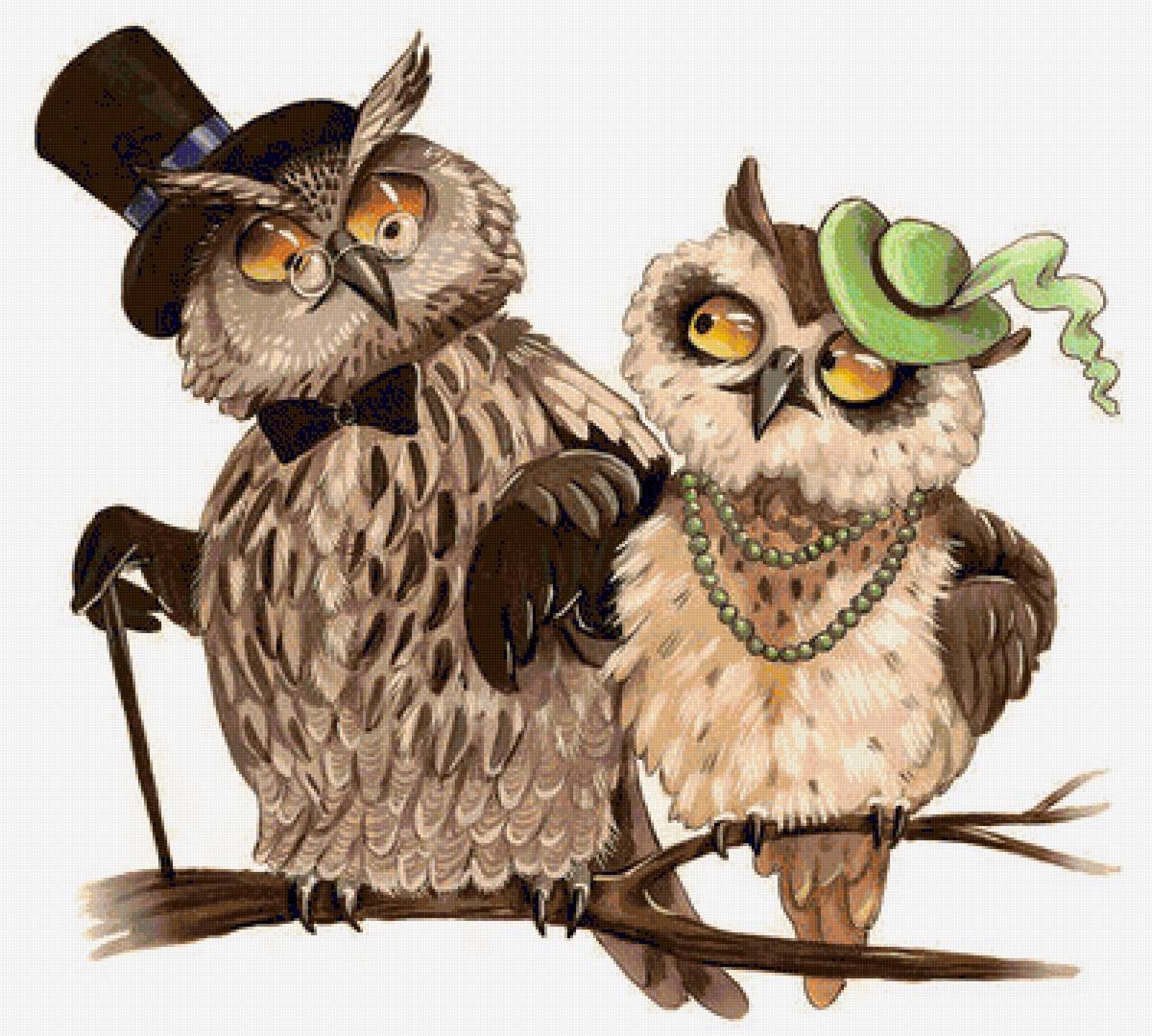 Сова с кексиком