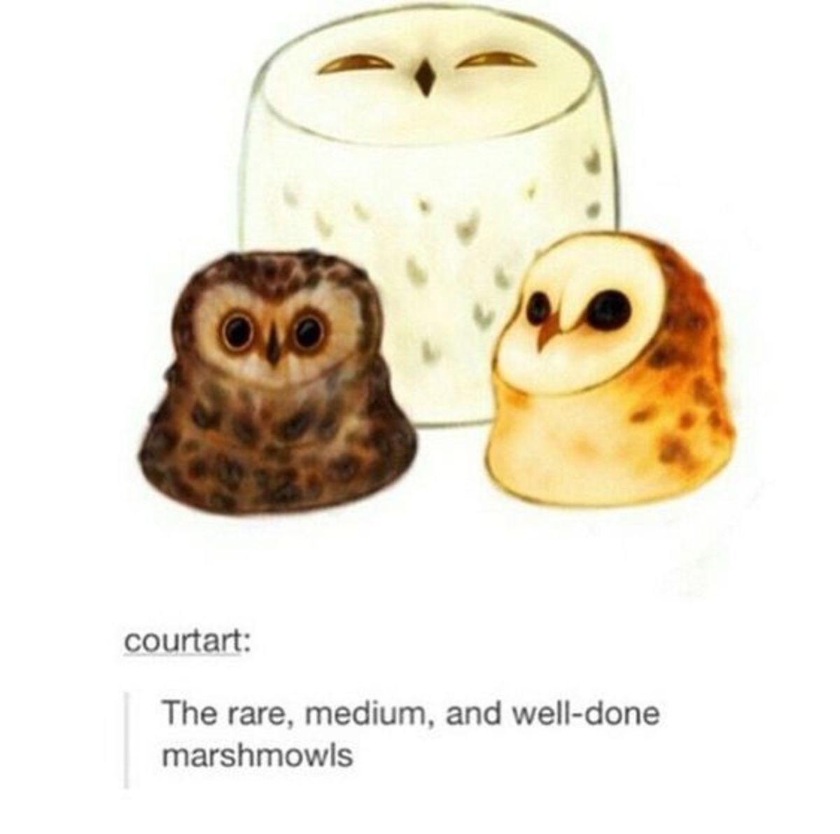 Голова Совы