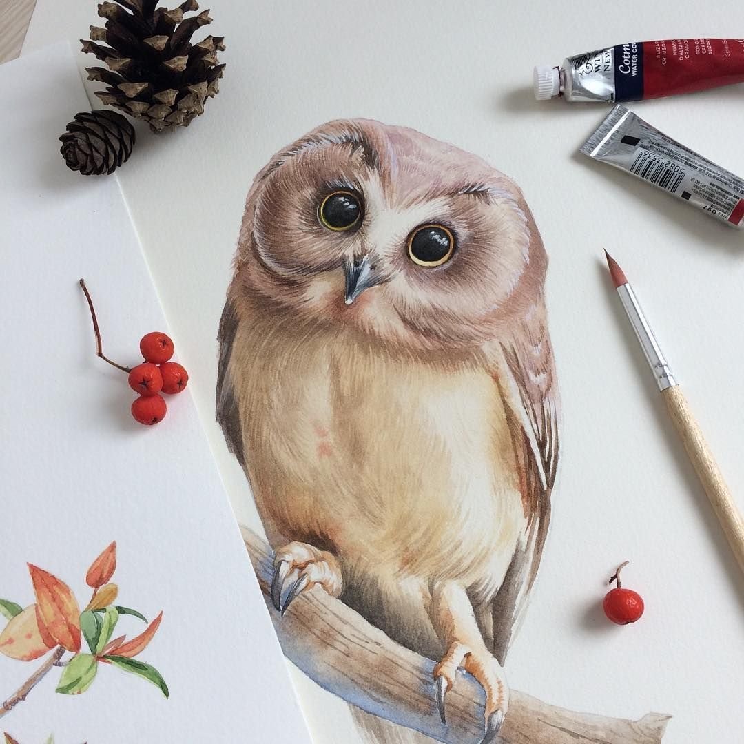 Довольная Сова