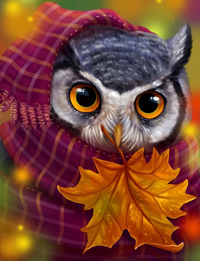 Совенок Совы корень какой