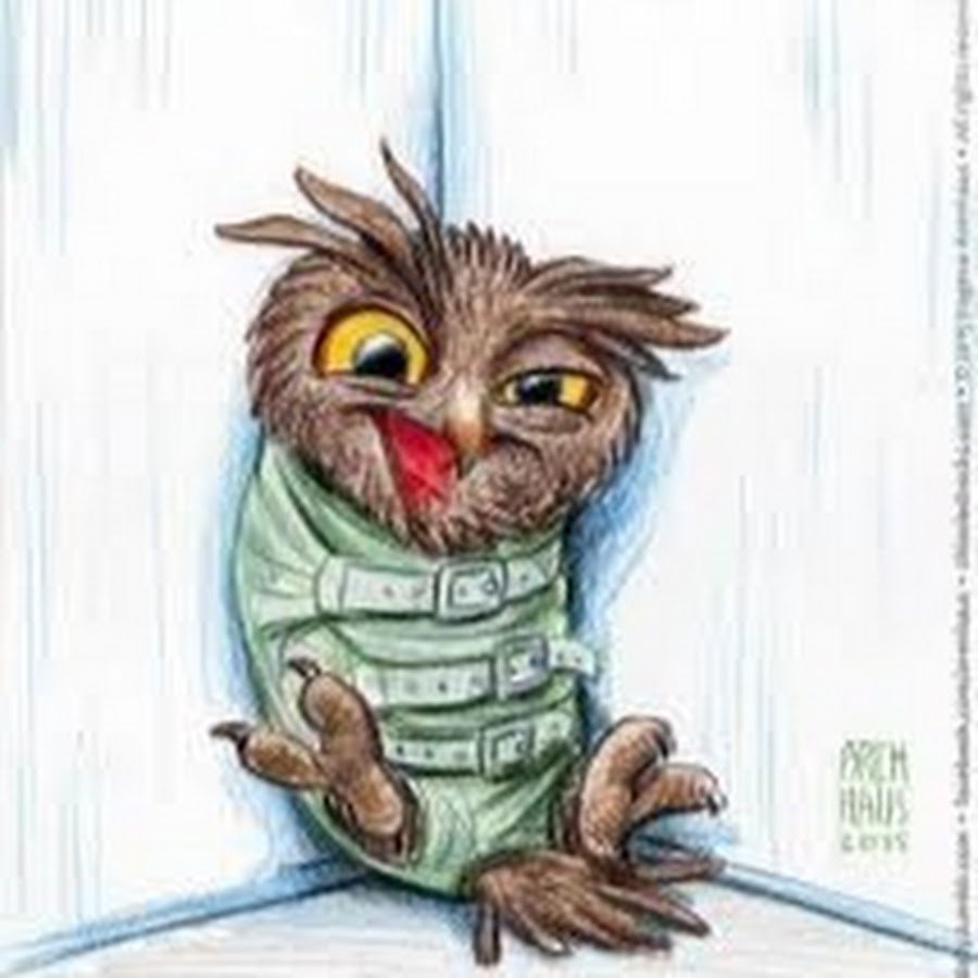 Совушка логотип