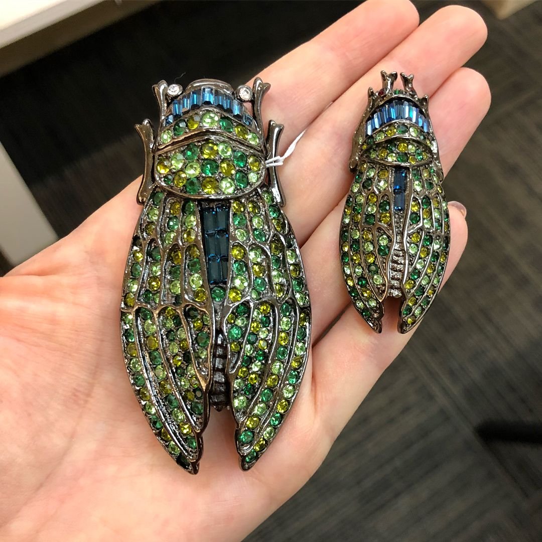 Кокон цикады