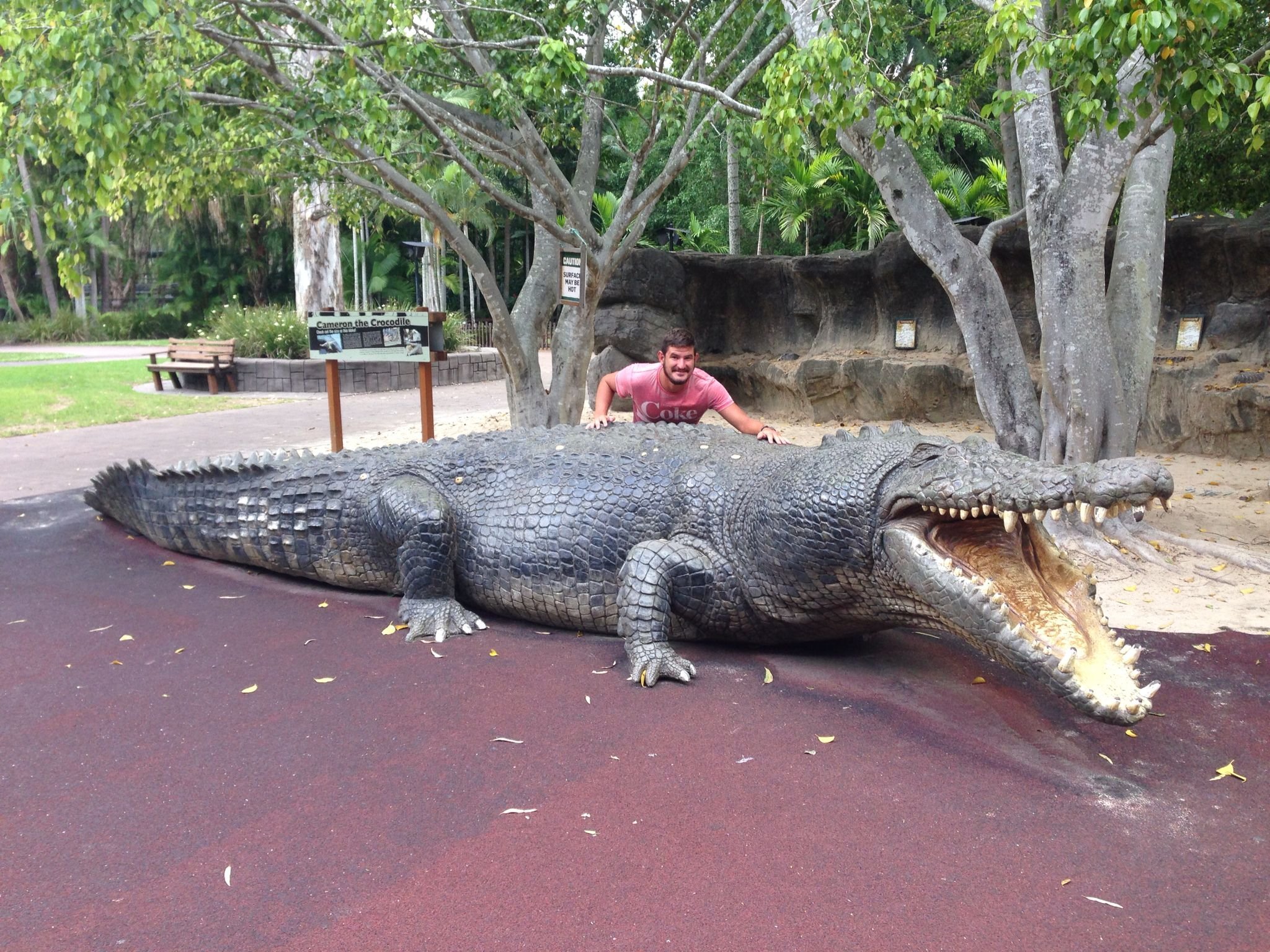 Розанна крокодил