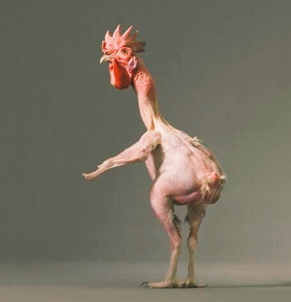 Общипанная курица на рынке