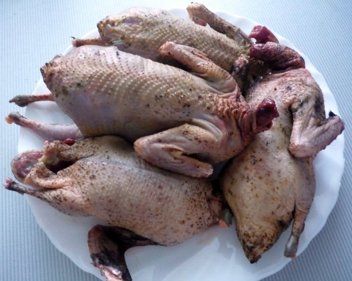 Вьетнамский Бойцовый петух га Донг Тао