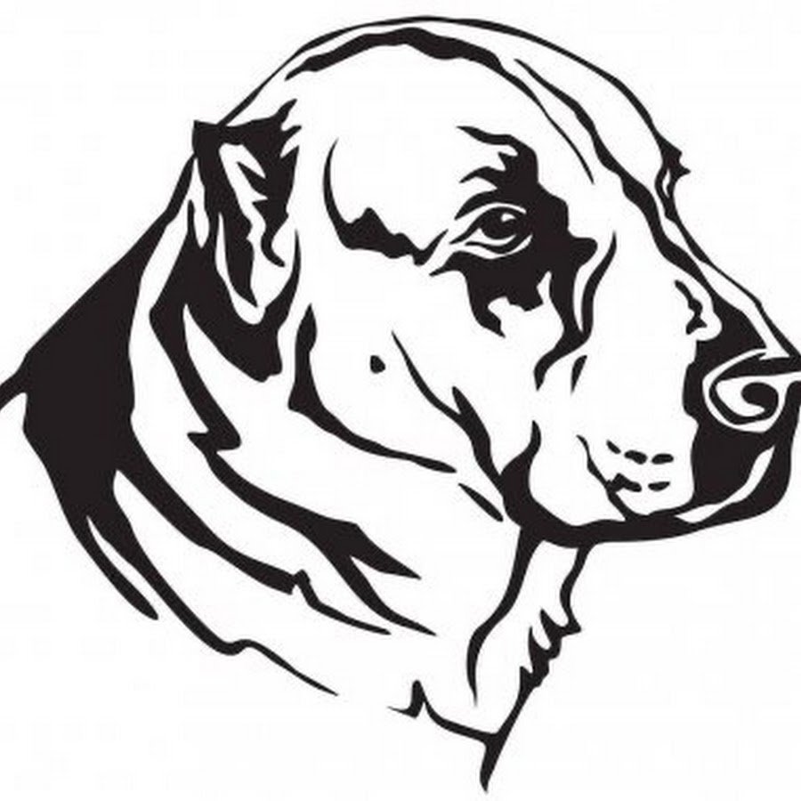 Собака алабай вектор