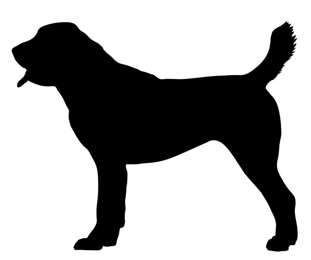 Силуэт среднеазиатской овчарки