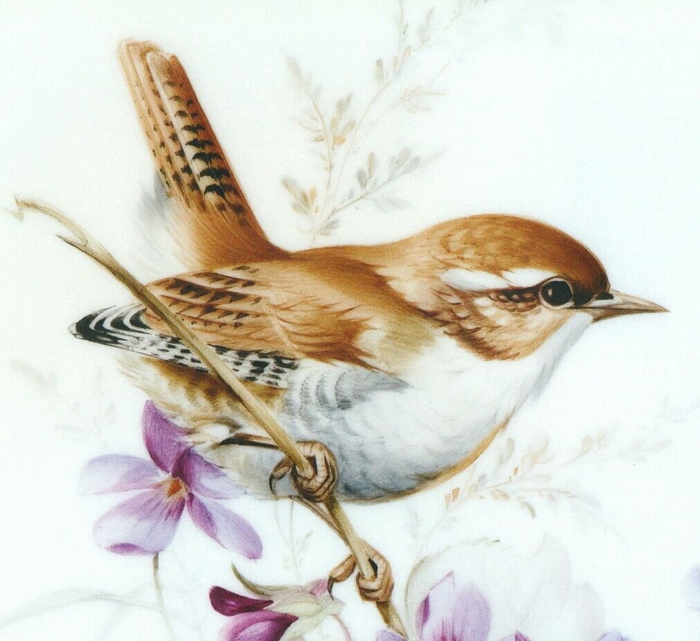 Соловей акварель