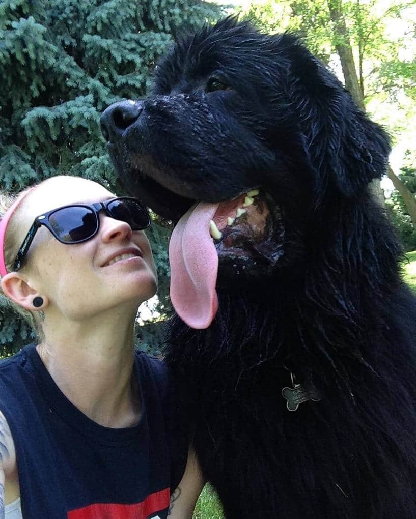 Самая большая собака