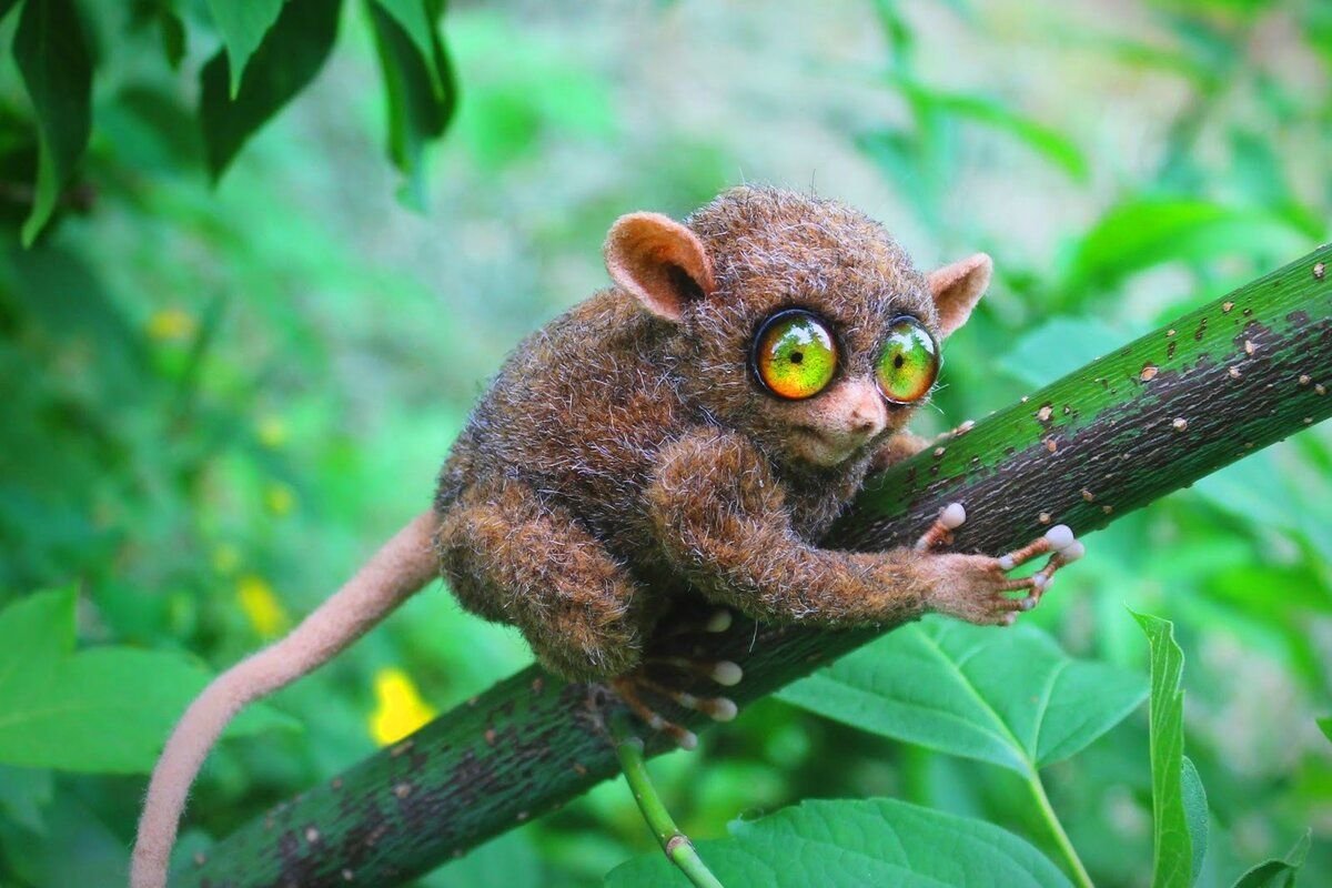 Животное с выпученными глазами