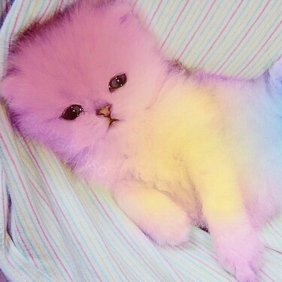 Я хочу тебя увидеть