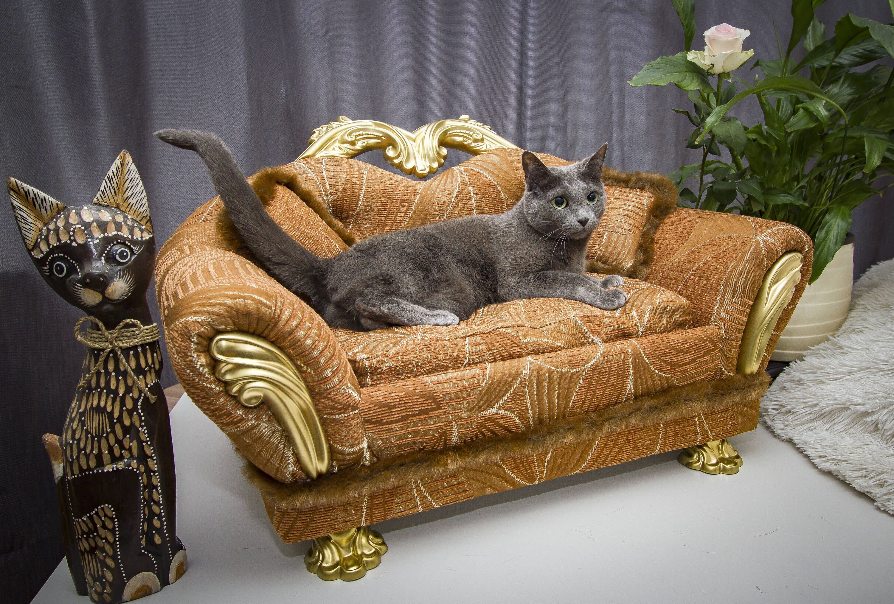 Cat sofa оригинал купить. Лежанка для кошки. Кошка софа. Лежанка для кошки в интерьере. Декор кошачьих лежанок.
