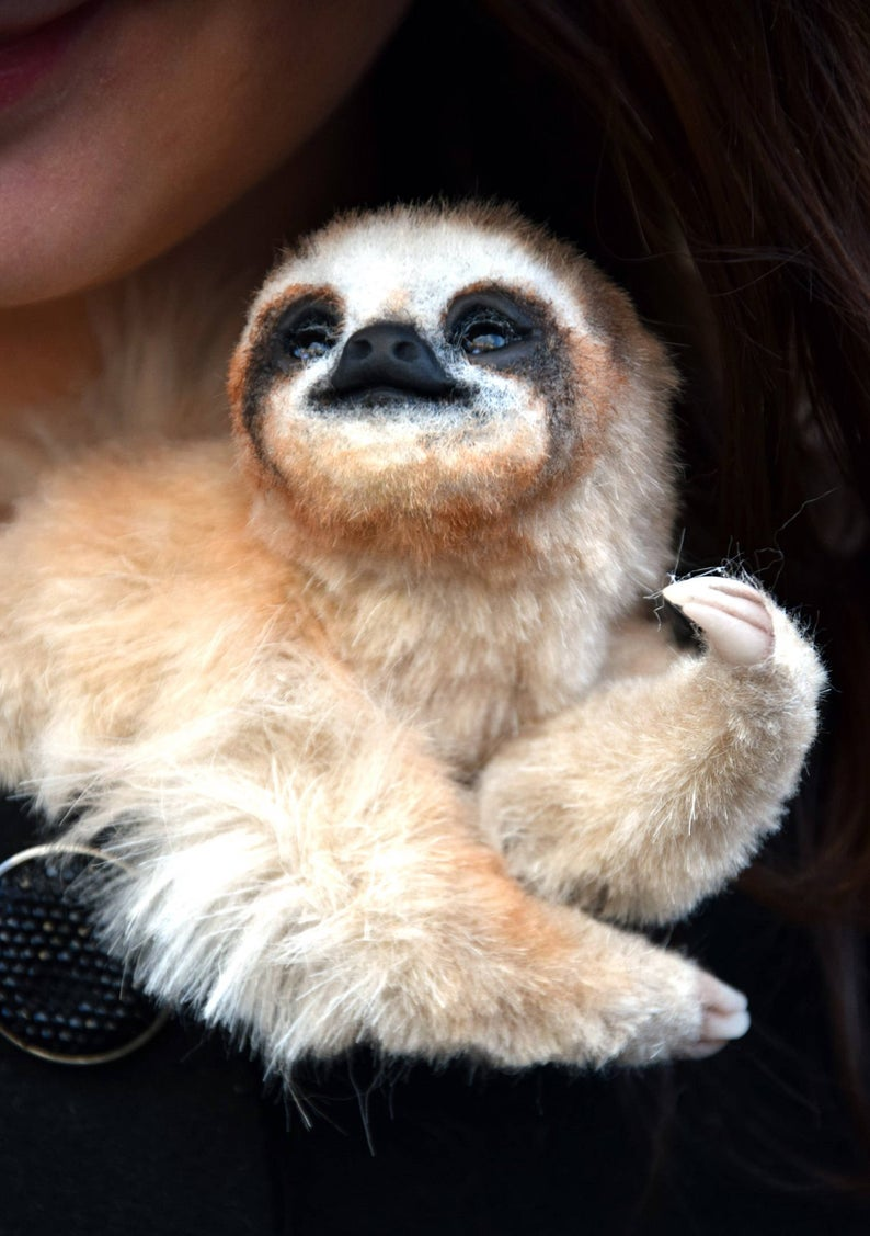 Ленивец на аву