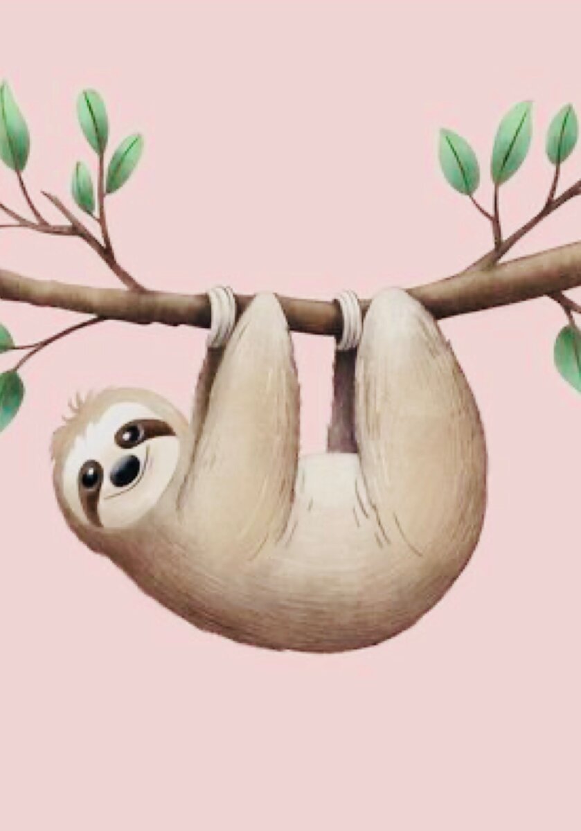 Ленивец арт