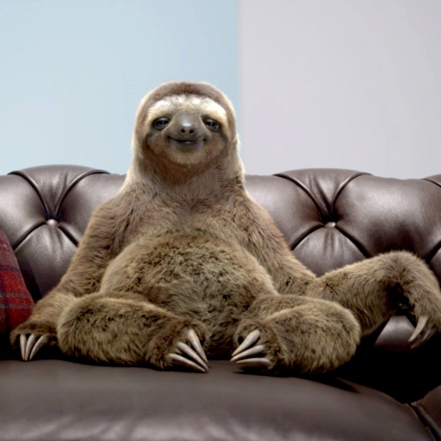 Смешной Ленивец