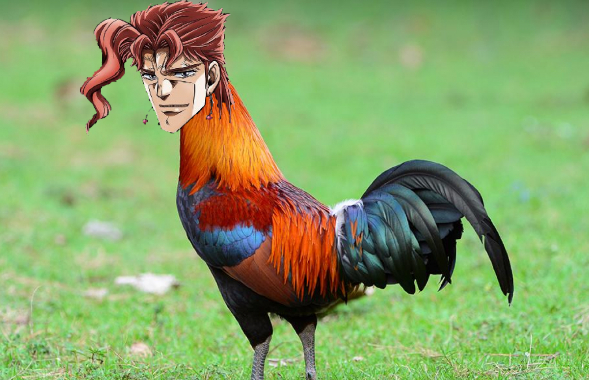 Маран черно медный