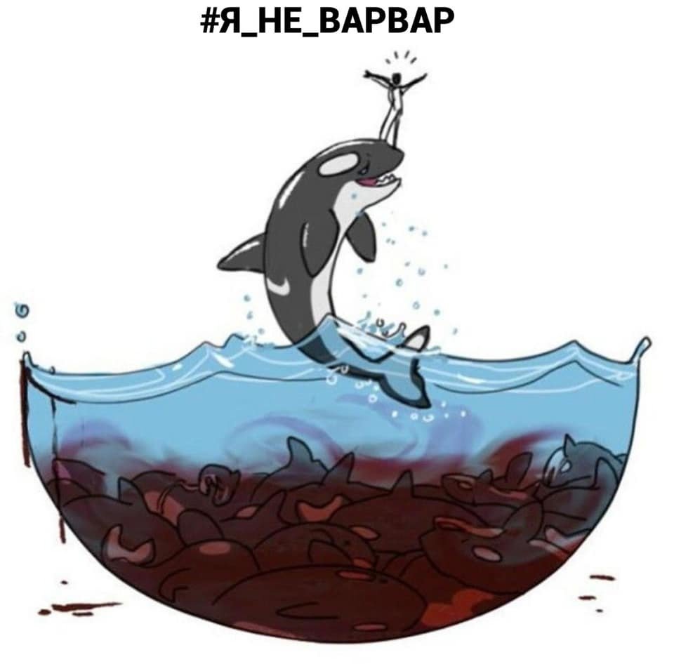 Касатка двигается за курсором