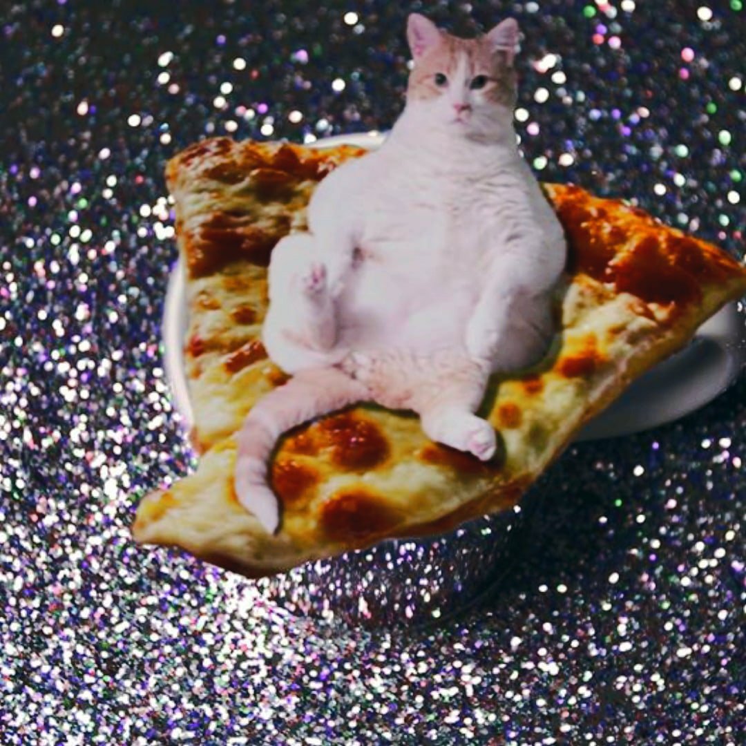 Кот с пиццей