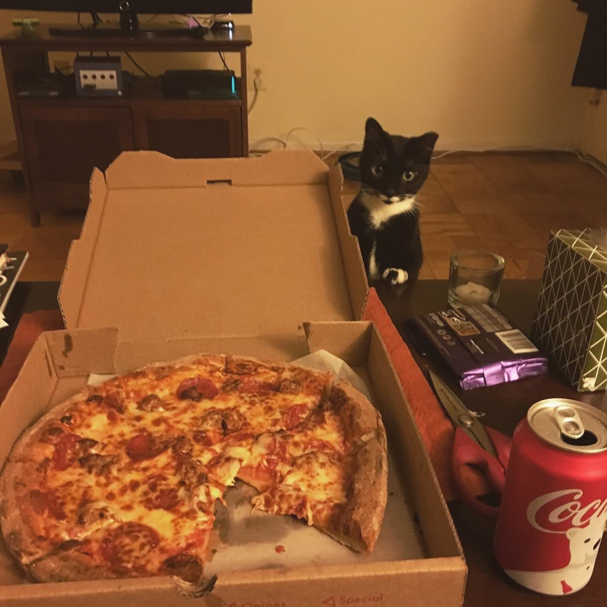 Кошка с пиццей