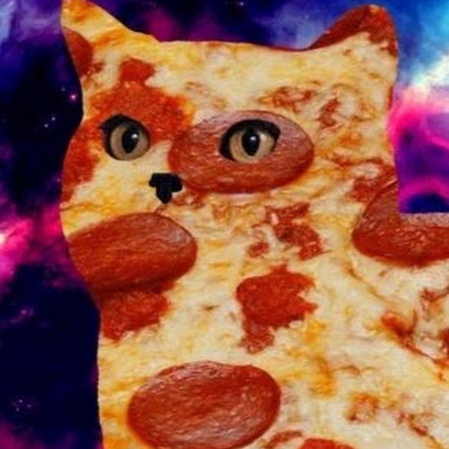 Кот на пицце в космосе