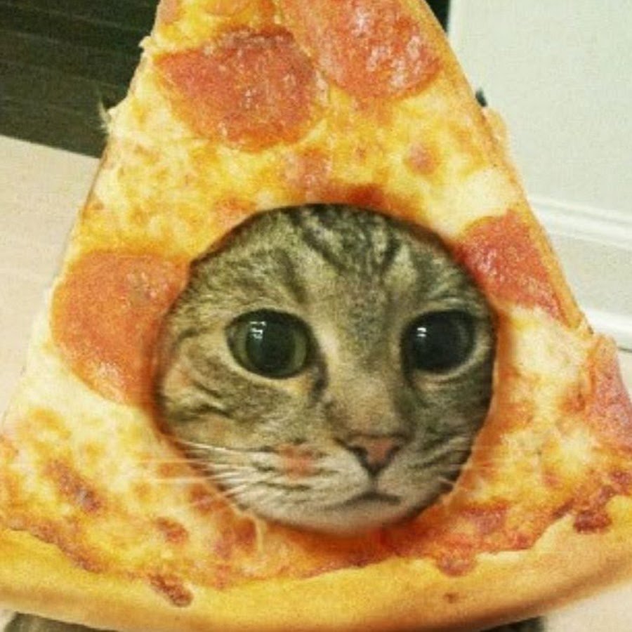 Пицца с лицом кота