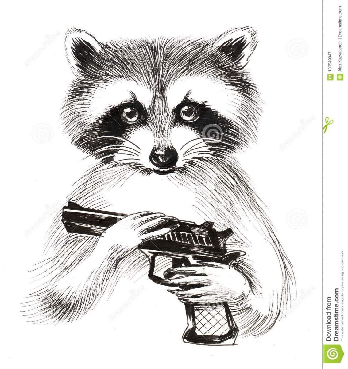 Енот ракета