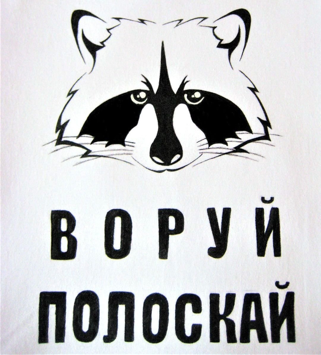 Пикча с енотом