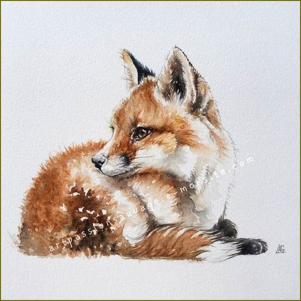 Марина лисица