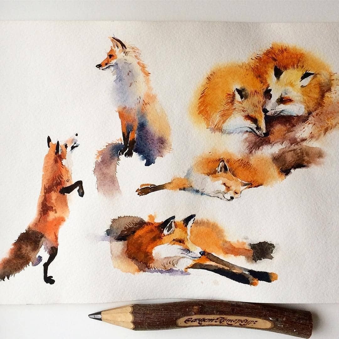 Лиса с лисенком акварель