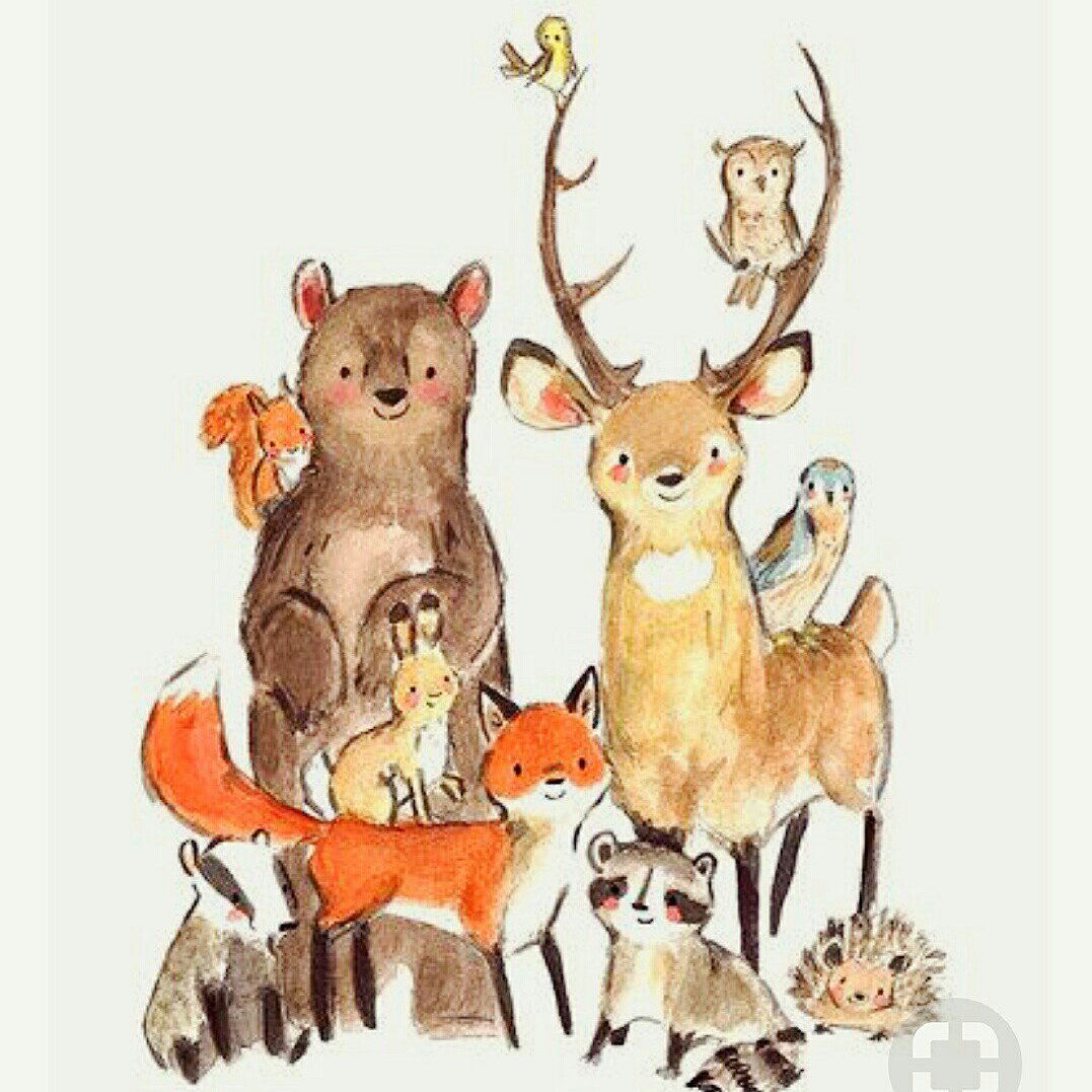 Лесные зверюшки